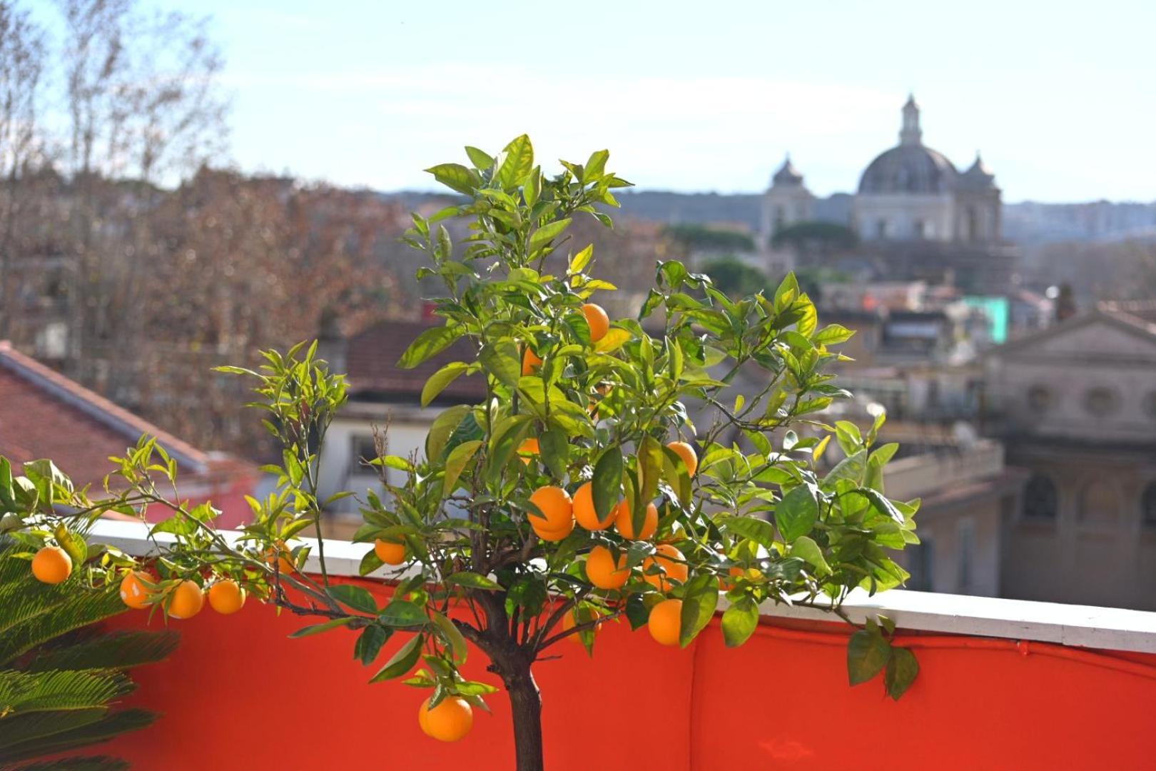 Farnesina Rooftop Terrace Rom Exterior foto